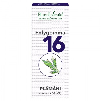 Polygemma nr 16 (plamani si detoxifiere) PlantExtrakt - 50 ml